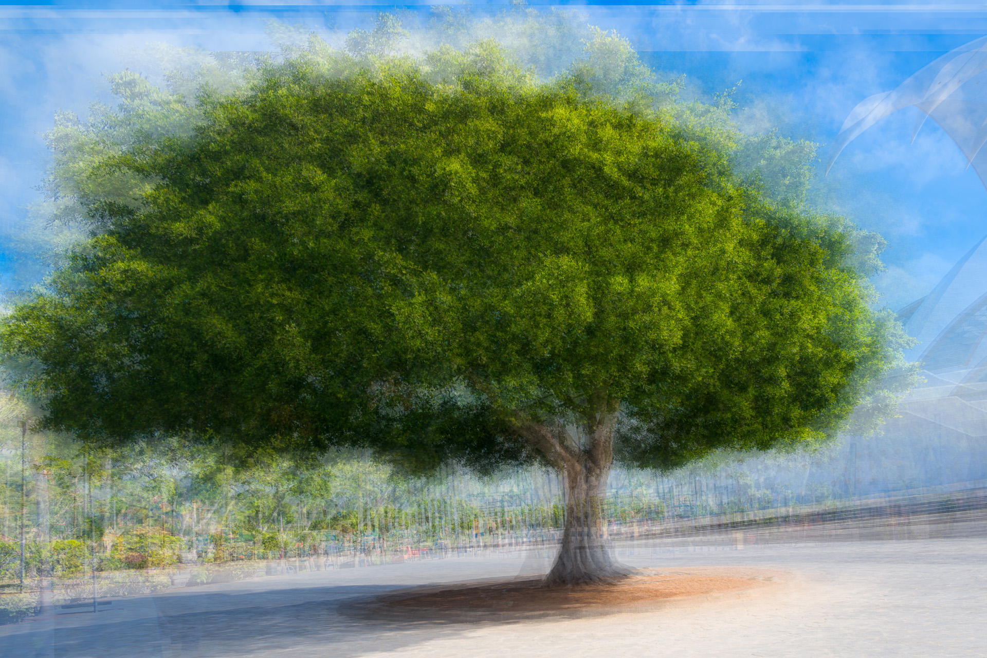 Baum
