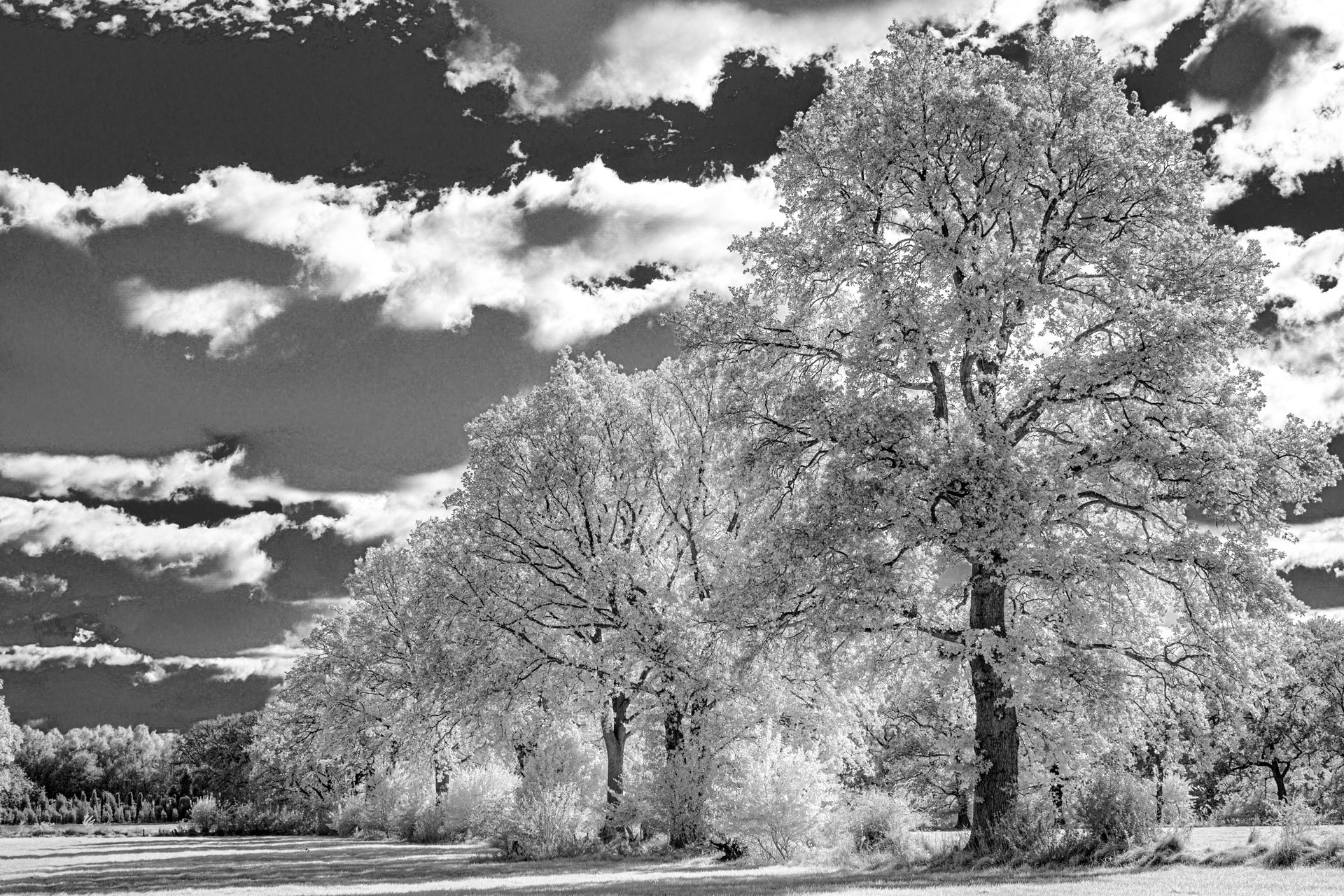 Landschaft